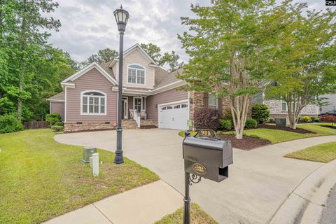 Homes in Lake Carolina-Berkeley Landing, Columbia