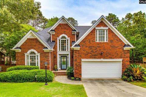 Homes in Lake Carolina - Summerlin, Columbia