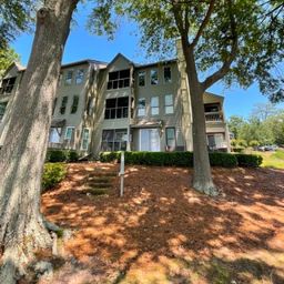 1441 Old Chapin Road 231