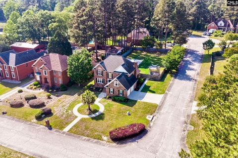 Homes in Wise Ferry Plantation, Lexington