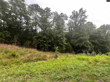 0 Carlisle Whitmire Hwy