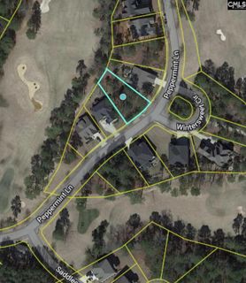 129 Peppermint Lane active home in Cobblestone Park, Blythewood, SC
