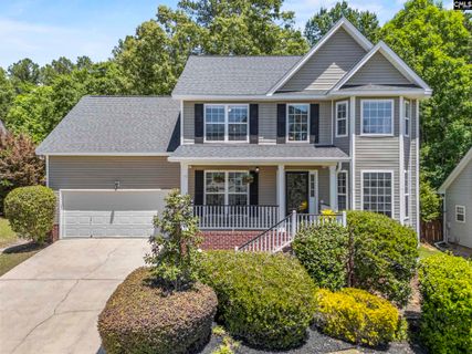 Homes in Palmerston South, Irmo