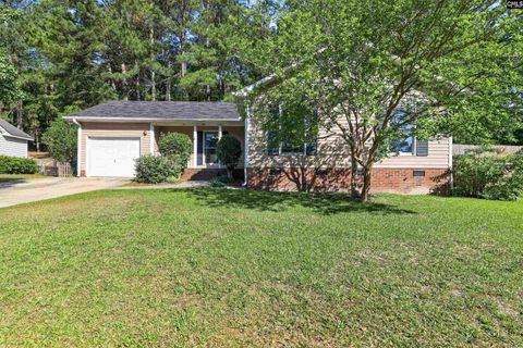 Homes in Forest Trace, Columbia