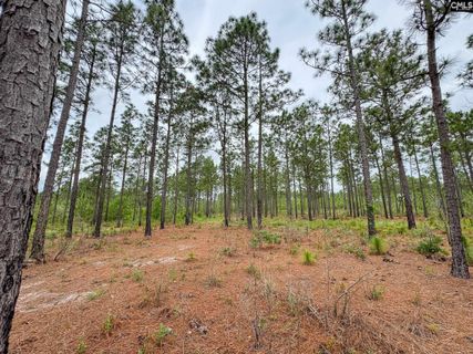 0 Neely Wingard Road Lot 10