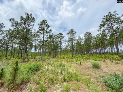 0 Neely Wingard Road Lot 11