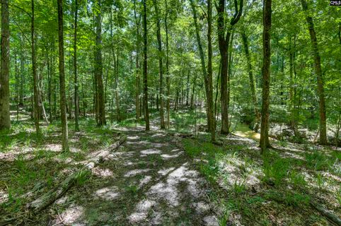 Bright Myers Road