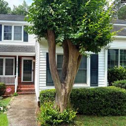 125 N Lake Pointe Drive