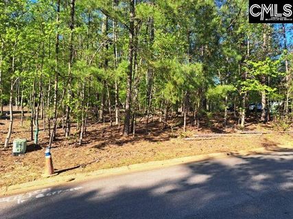 512 Links Pointe Court pending home in Timberlake - Lookout Pointes, Chapin, SC