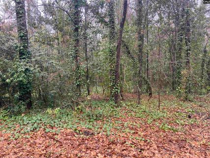 1951 Forest Drive 32 active home in Kirkover Hills, Camden, SC