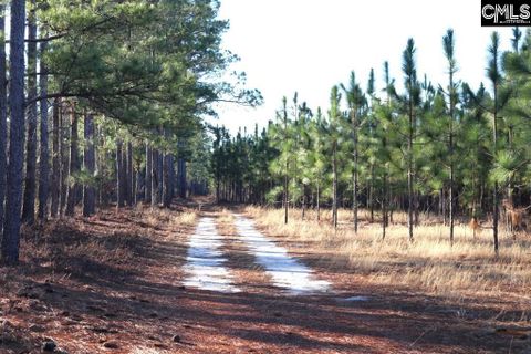 Holstein Road