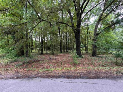 0 Sewanee Avenue active home in Riverland Park, Cayce, SC