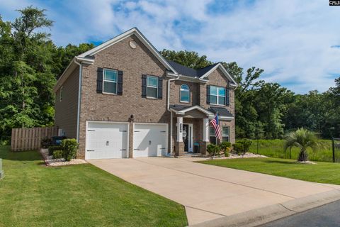 Homes in Lever Creek, Chapin