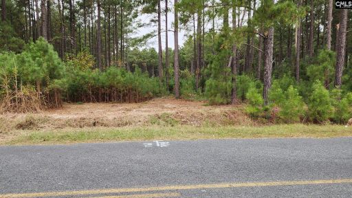 657 Old Field Road