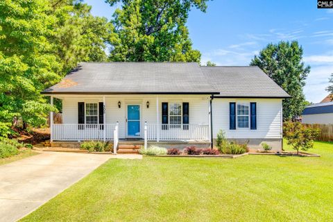308 Cutter Court pending home in Shipyard, Chapin, SC