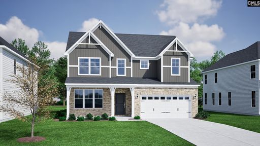 Homes in Pebble Branch, Chapin