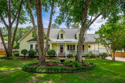132 Platinum Drive pending home in Silvercreek, Lexington, SC