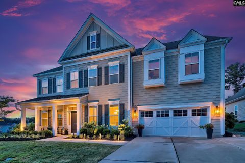 Homes in Palmetto Shores, Chapin