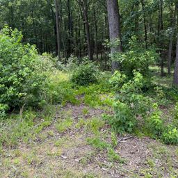 1405 Mullis Road