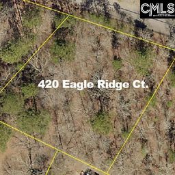420 Eagle Ridge Court