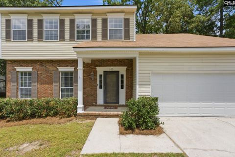 Homes in Misty Glen, Irmo