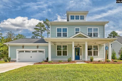 820 Elms Spinney Lane active home in Whitewater Landing, Chapin, SC