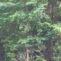 11 Otter Trail Court