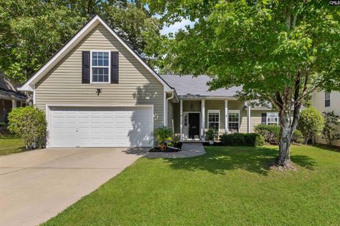 216 Baneberry Loop pending home in Baneberry Place, Lexington, SC