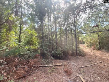 Mpf 2 State Rd S-28-31 Road