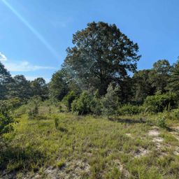 Hound Hollow Road