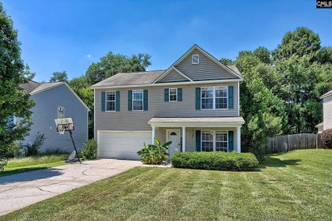 Homes in Eagle Pointe, Chapin
