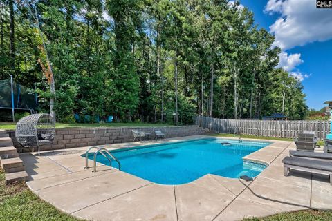 329 Dolly Horn Lane pending home in Hidden Cove, Chapin, SC