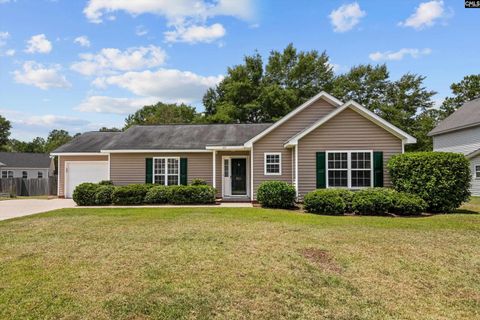 321 Downs Drive