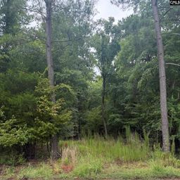 0 Newberry Shores Drive
