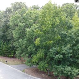 221 Leventis Lane