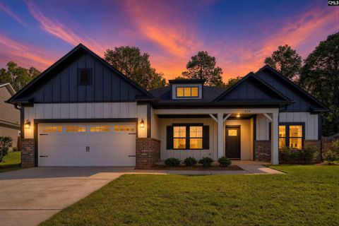 256 Murray Falls Lane active home in Collins Cove, Chapin, SC