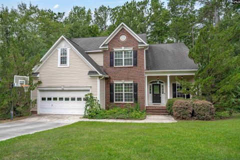 205 Winterberry Loop active home in Hawthorne, Lexington, SC