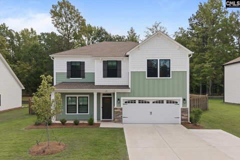 191 Collins Cove Drive active home in Collins Cove, Chapin, SC