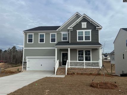 341 Grannys Cut Way active home in Chapin Place, Chapin, SC