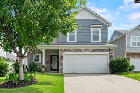 163 Cordage Drive active home in Osprey, Chapin, SC