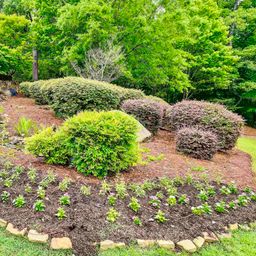 523 Whitewater Drive