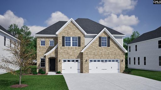 Homes in Pebble Branch, Chapin