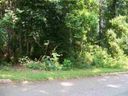 Lot 11 25 Wild Cherry Circle sold home in Lyman, SC