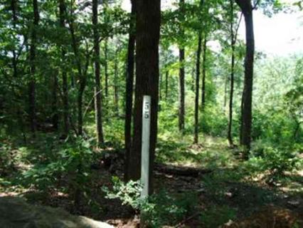 Lot 55 Look Off Drive