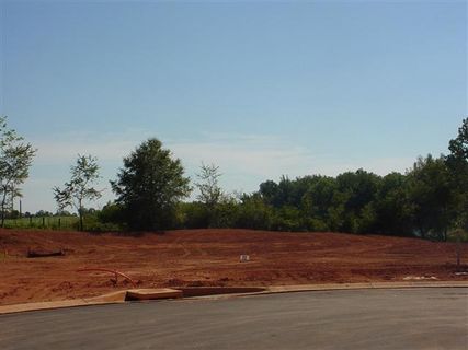 227 Clearridge Way sold home in Robinson Landing, Greer, SC