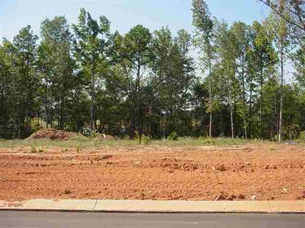 232 Clearridge Way sold home in Robinson Landing, Greer, SC