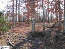 23 Twin Silo Court sold home in Greer, SC