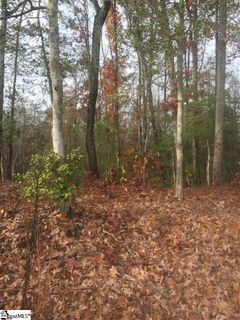 25 Riley Hill Court Lot 14 sold home in Greywood At Hammett, Greer, SC
