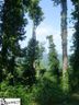 105 Bella Vista Court Cv-Cm-1 Valley, Corbin Mountain, Lot 1 sold home in Zirconia, SC