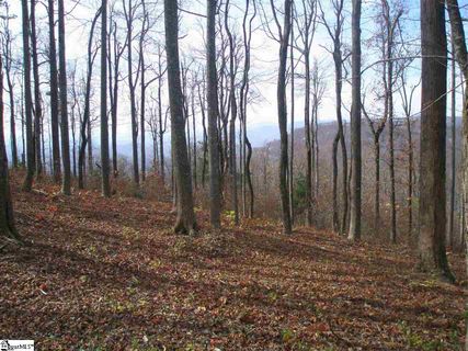 232 Bella Vista Court Cv-Cm-8 Valley, Corbin Mountain, Lot 8